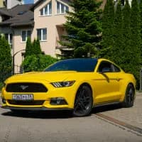 Ford MUSTANG  1