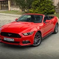 Ford MUSTANG  1