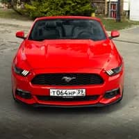 Ford MUSTANG  3