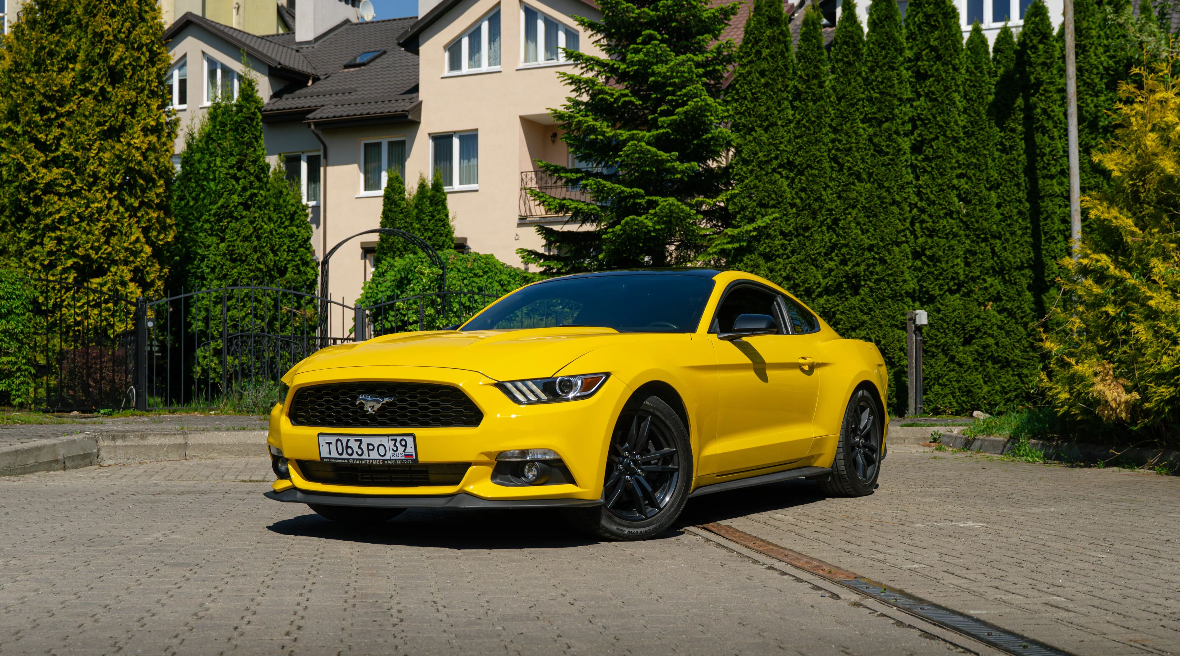 Ford MUSTANG 